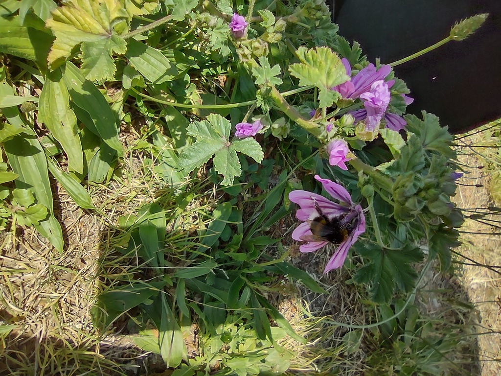 No s'ha trobat l'arxiu